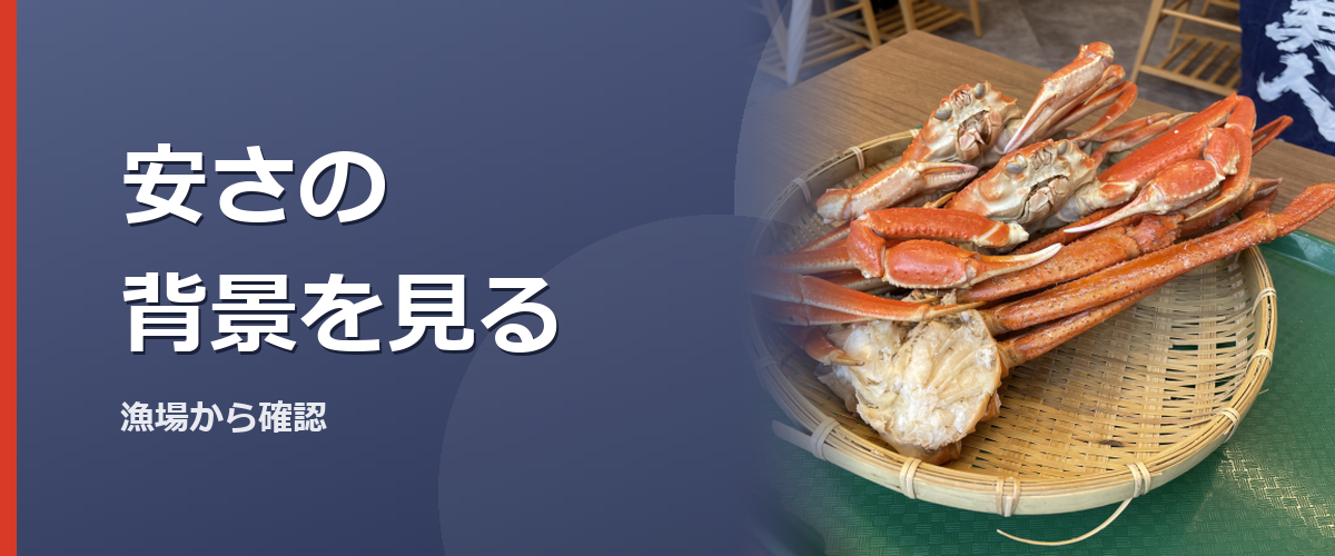 深い海からカニを水揚げするイメージ写真（特定の商品や種を撮影したものではありません）