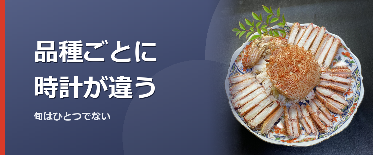 複数のカニを見比べるイメージ写真（特定の商品や種を撮影したものではありません）