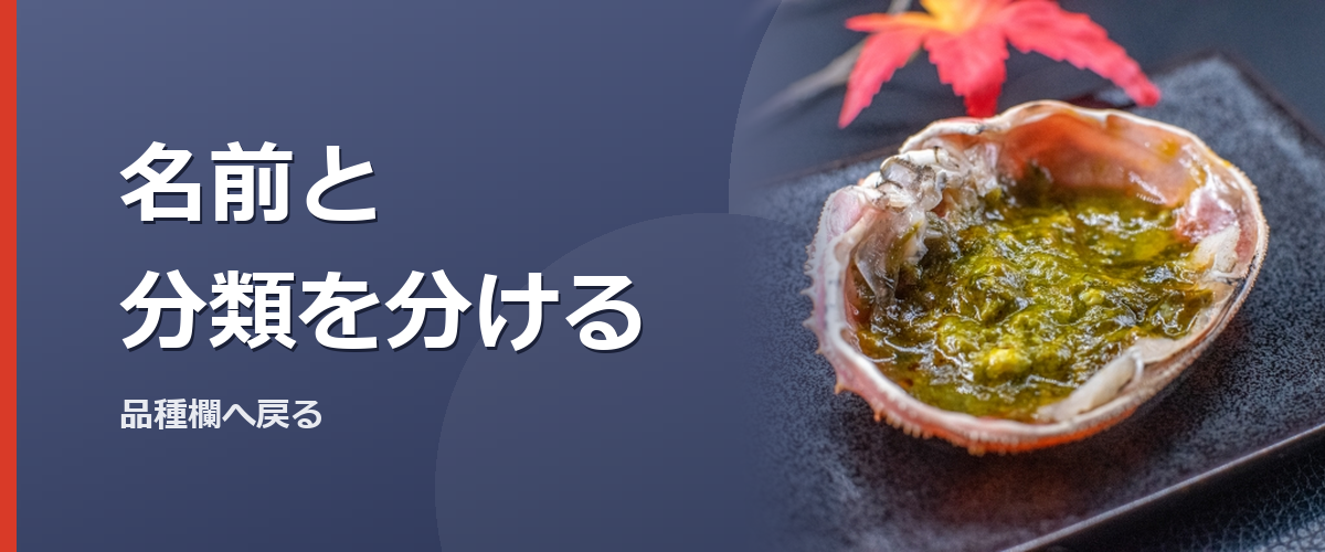 カニの分類を振り返るイメージ写真(特定の商品や種を撮影したものではありません)