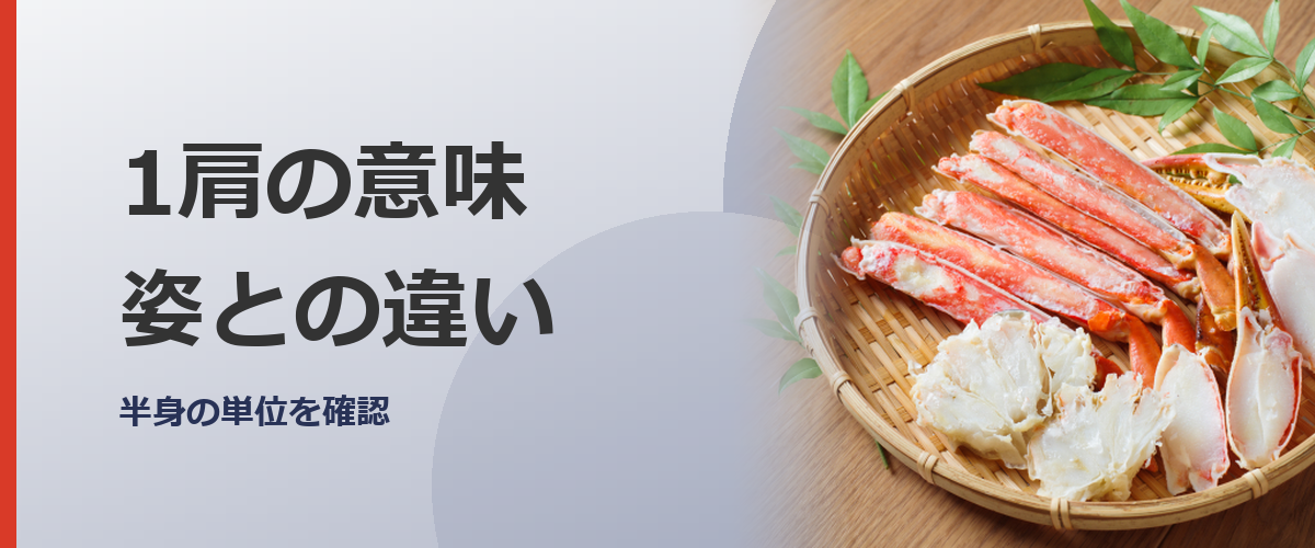 1肩の意味を確認する場面のイメージ写真(特定の商品を撮影したものではありません)