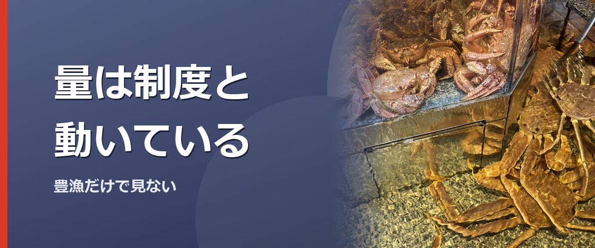 漁船とカニを写したイメージ写真（特定の商品や種を撮影したものではありません）