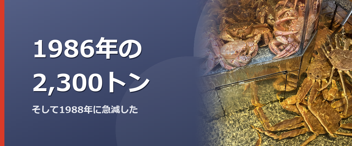 冬の北海道の港のイメージ写真（この章の扉）。日高海域を撮影したものではありません
