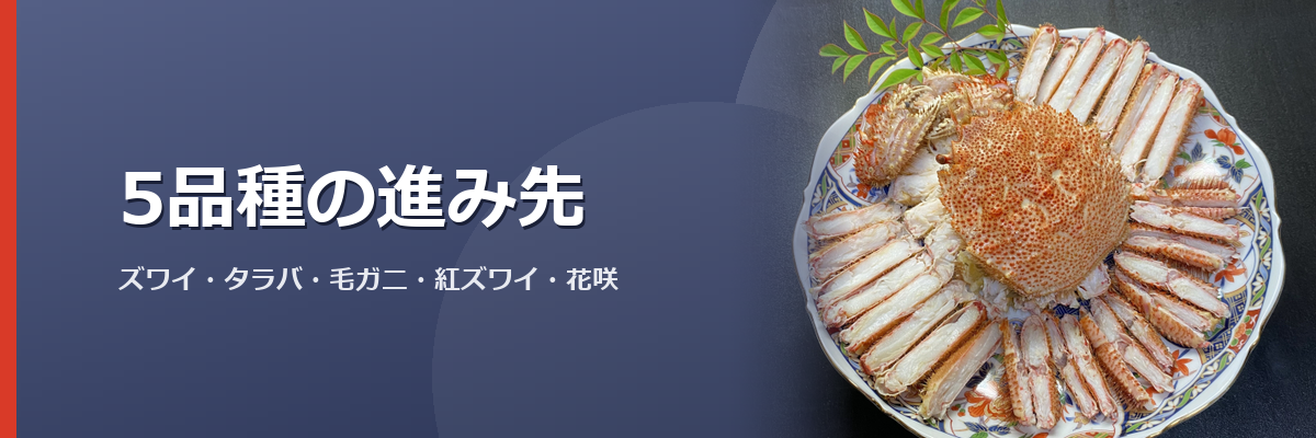 「5品種の進み先」と書かれた見出し画像。背景は毛ガニとズワイガニのイメージ写真(販売店の商品を撮影したものではありません)