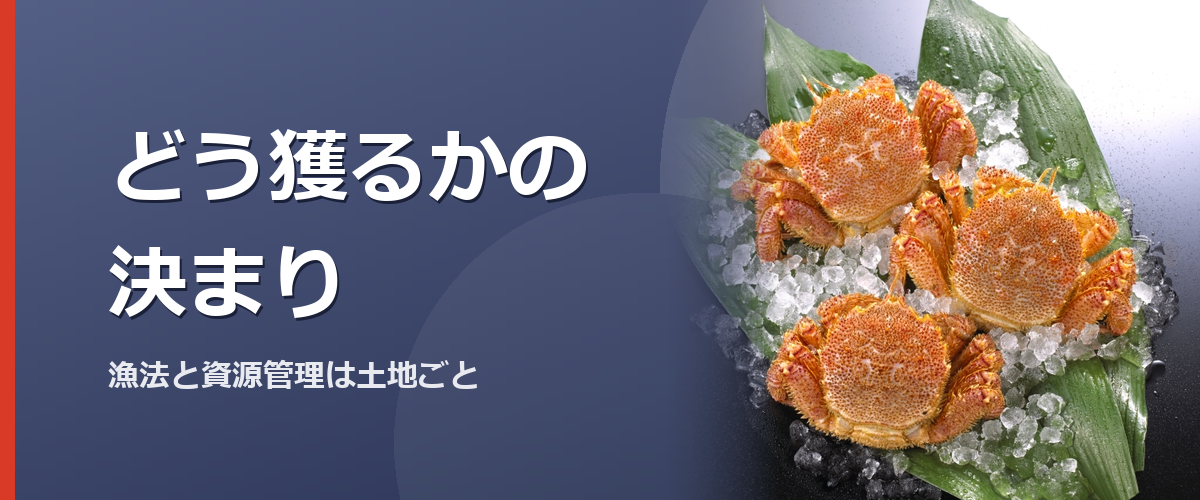 漁に使うかごと水揚げのイメージ写真（販売商品を撮影したものではありません）