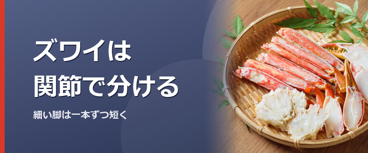 ズワイガニの細い脚と関節を確認するイメージ写真（かに本舗の商品を撮影したものではありません）
